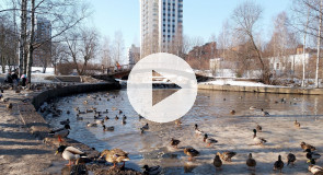 Весна в Карелии 