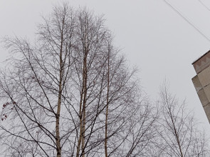 зимнее небо