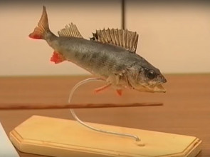 окунь_макет