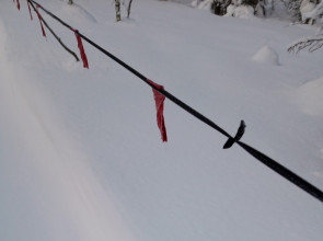 Идет охота на волков