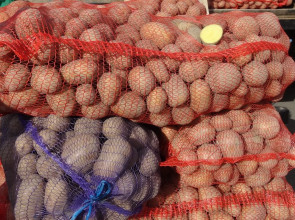 Продажа картофеля в Карелии