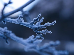 Морозная зима