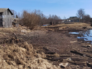 На берегу реки Водла