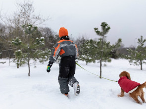 ребенок с собакой