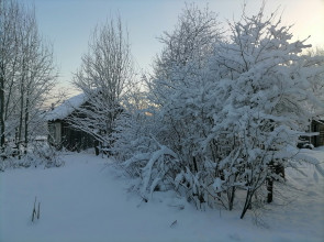 снег_зима_мороз