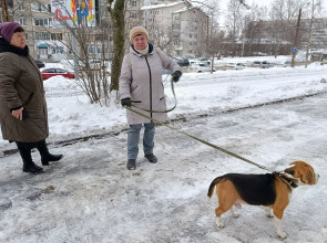 Жители микрорайона Кукковка