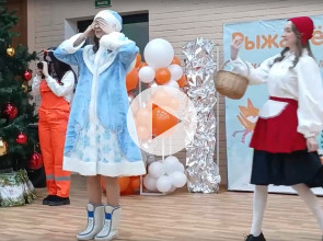 Безопасная елка ЛизаАлерт