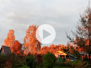 Золотая осень в Петрозаводске