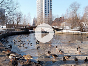 Весна в Карелии 