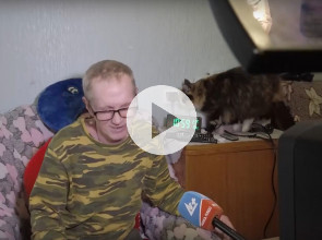 Сирота без квартиры