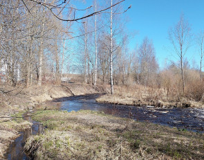 весна_солнце_река