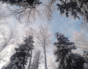 зимнее небо