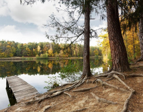 пирс на озере