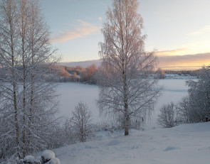 природа зимой