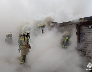 пожарные тушат