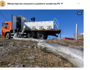 выпуск рыбы