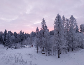 морозный розовый закат