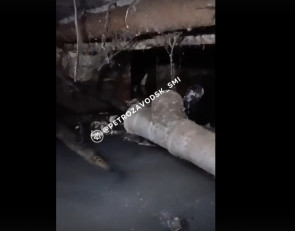 затопленный подвал