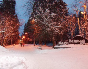 зимний парк