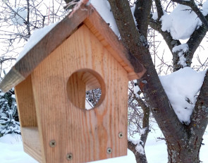 скворечник