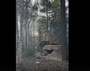 техника в аллее