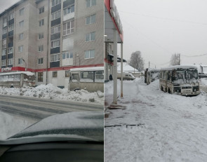 старые автобусы