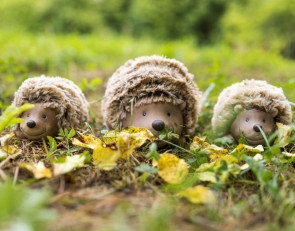 игрушечные ежи