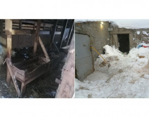 страшная ферма