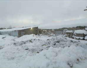 подсобное хозяйство