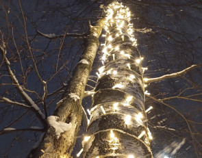 гирлянда на березе