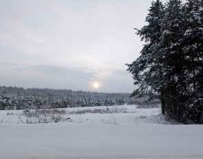 природа зимой