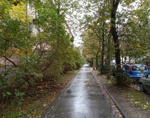 осень