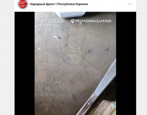 лужа