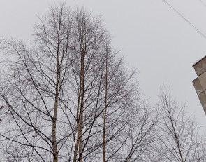 зимнее небо