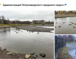 загрязнение