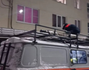 спасатель_окно