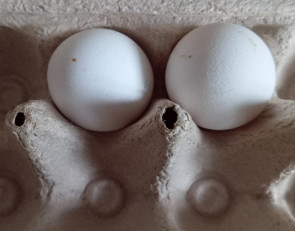 яйца в коробке