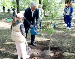 Глава Карелии высаживает деревья в парке.