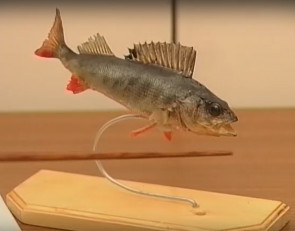 окунь_макет