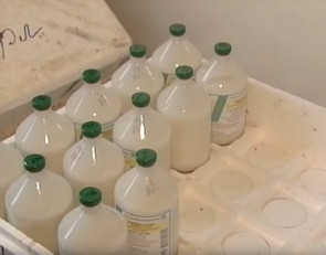 вакцина для птиц