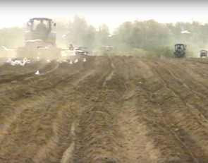 трактор поле