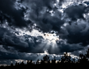 Хмурое небо, ощущение опасности.