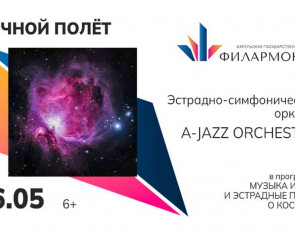 Афиша ночной полет