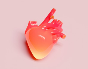 Сердце