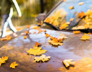 Автомобиль осенью