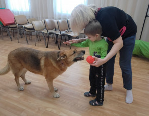 занятие по канистерапии