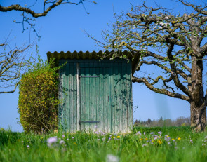 туалет_строение_лес