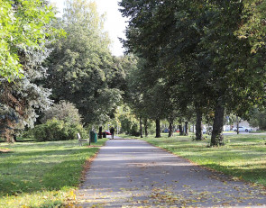 Дорожка ведет через парк.