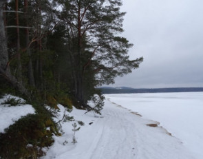 берег озера