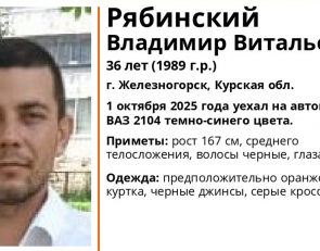 пропавший ЛизаАлерт
